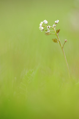 BUITEN BEELD Foto: 121571