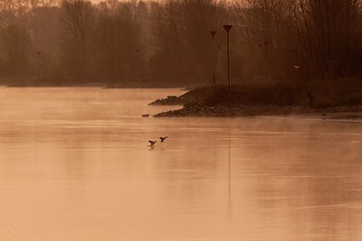 BUITEN BEELD Foto: 121593