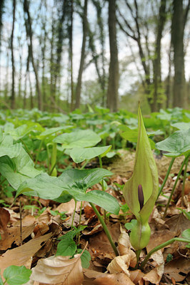 BUITEN BEELD Foto: 121624