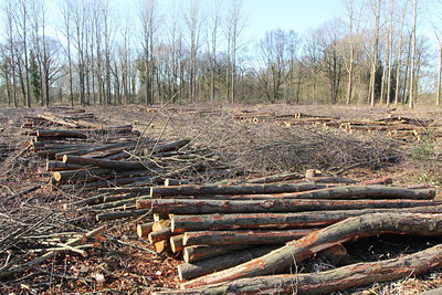 BUITEN BEELD Foto: 121642