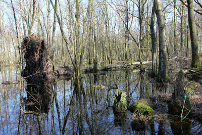 BUITEN BEELD Foto: 121648