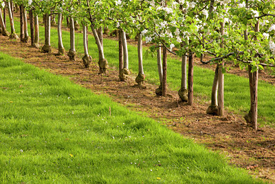 BUITEN BEELD Foto: 121653