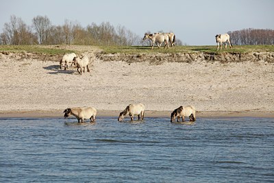 BUITEN BEELD Foto: 121696