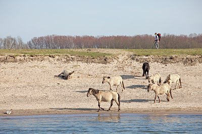 BUITEN BEELD Foto: 121715