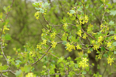 BUITEN BEELD Foto: 121801