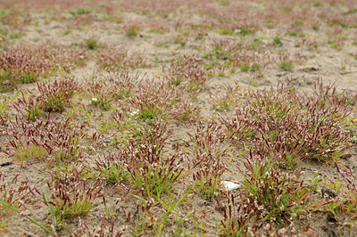 BUITEN BEELD Foto: 121808