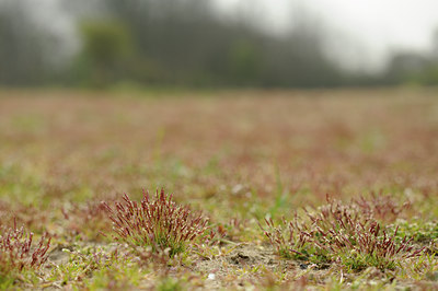 BUITEN BEELD Foto: 121818