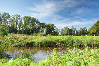 BUITEN BEELD Foto: 121842