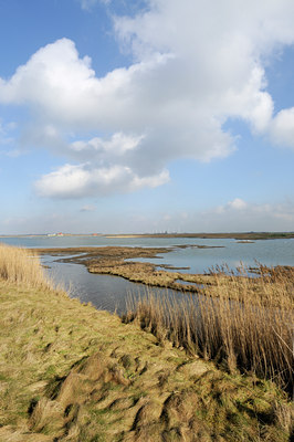 BUITEN BEELD Foto: 121849