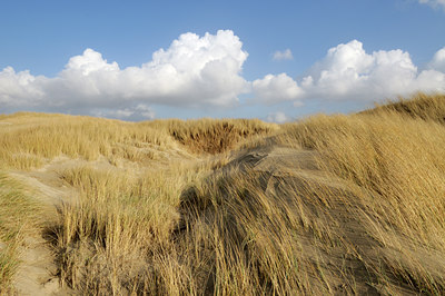 BUITEN BEELD Foto: 121851