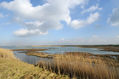 BUITEN BEELD Foto: 121856