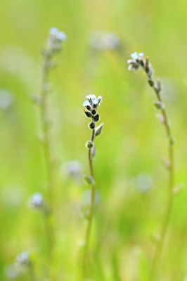 BUITEN BEELD Foto: 121872