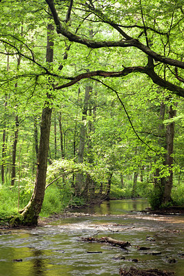 BUITEN BEELD Foto: 121895