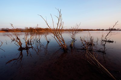 BUITEN BEELD Foto: 122108