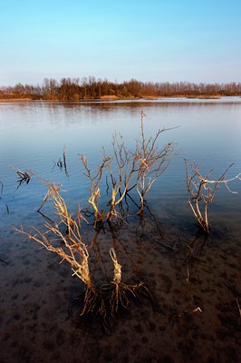 BUITEN BEELD Foto: 122109
