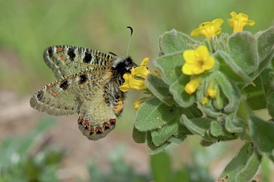 BUITEN BEELD Foto: 122151