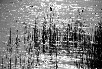 BUITEN BEELD Foto: 122256