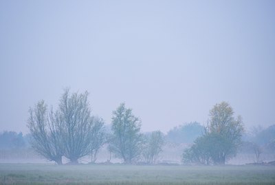 BUITEN BEELD Foto: 122289