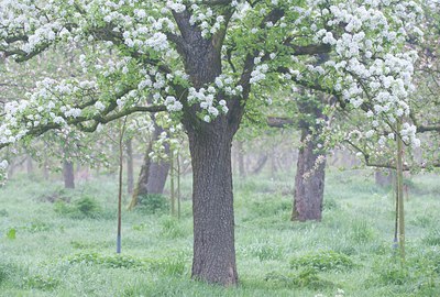 BUITEN BEELD Foto: 122290