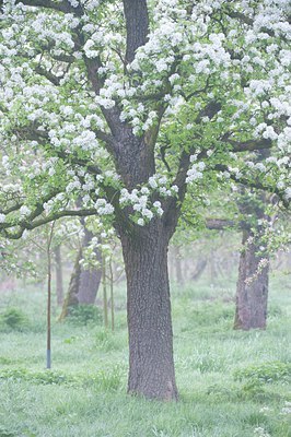 BUITEN BEELD Foto: 122291