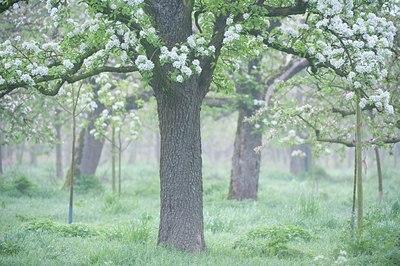 BUITEN BEELD Foto: 122294