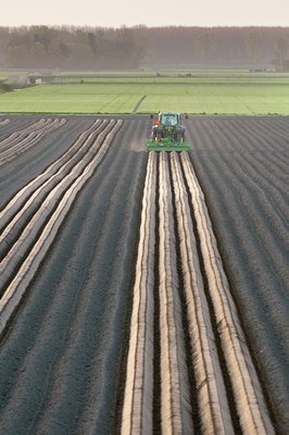 BUITEN BEELD Foto: 122303