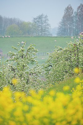 BUITEN BEELD Foto: 122305