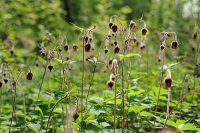 BUITEN BEELD Foto: 122365