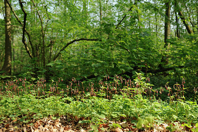 BUITEN BEELD Foto: 122372