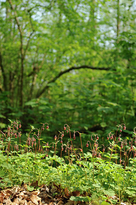 BUITEN BEELD Foto: 122374