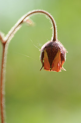 BUITEN BEELD Foto: 122383