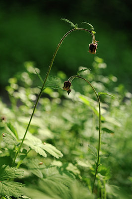 BUITEN BEELD Foto: 122394