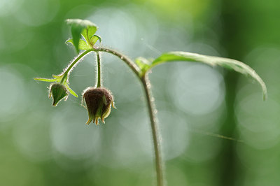 BUITEN BEELD Foto: 122395