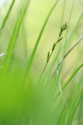 BUITEN BEELD Foto: 122401