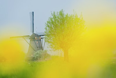 BUITEN BEELD Foto: 122411
