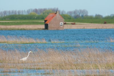 BUITEN BEELD Foto: 122427