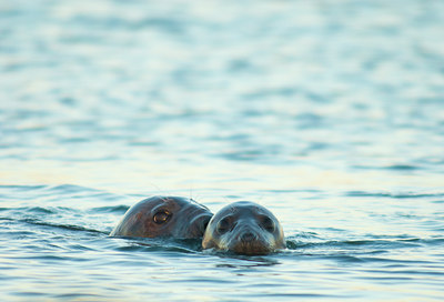 BUITEN BEELD Foto: 122505