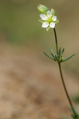 BUITEN BEELD Foto: 122547