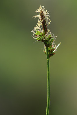 BUITEN BEELD Foto: 122551