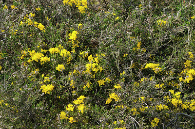 BUITEN BEELD Foto: 122582