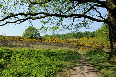 BUITEN BEELD Foto: 122583