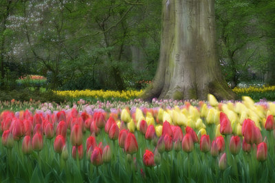 BUITEN BEELD Foto: 122623