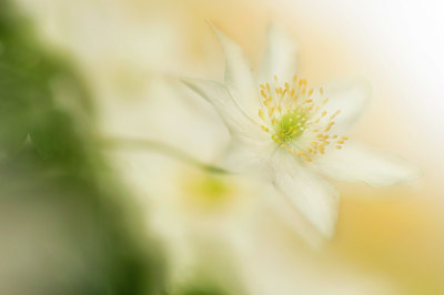 BUITEN BEELD Foto: 122640