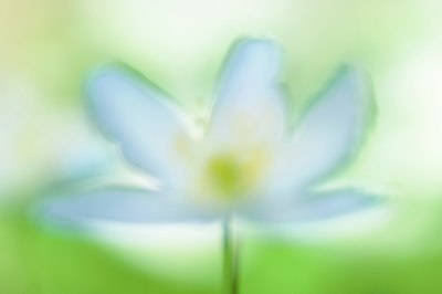 BUITEN BEELD Foto: 122671