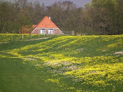 BUITEN BEELD Foto: 122697