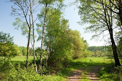 BUITEN BEELD Foto: 122723