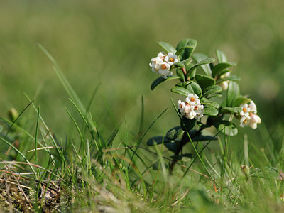BUITEN BEELD Foto: 122748