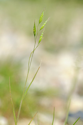 BUITEN BEELD Foto: 122767