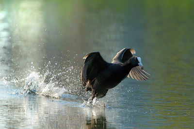 BUITEN BEELD Foto: 122806