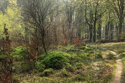 BUITEN BEELD Foto: 122861